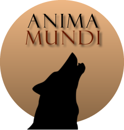 Anima Mundi Professional Pet Groomer and Self-Serve Dog Wash in North Grafton MA