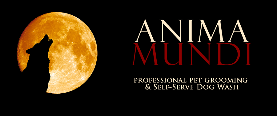 Anima Mundi Professional Pet Groomer and Self-Serve Dog Wash in North Grafton MA